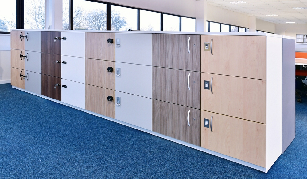 Bespoke Lockers – REF Misc 4